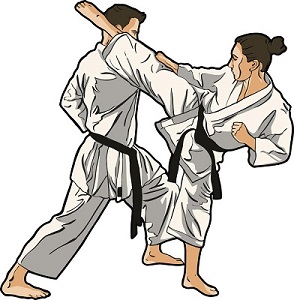 karate1